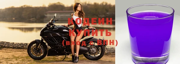 сатива Белокуриха