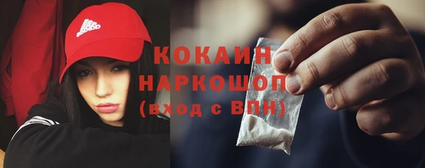 сатива Белокуриха