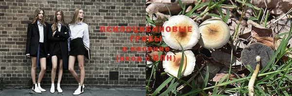 сатива Белокуриха