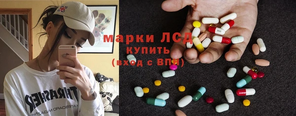 сатива Белокуриха