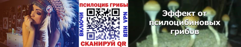 нарко площадка состав  Заволжье  Псилоцибиновые грибы Cubensis 